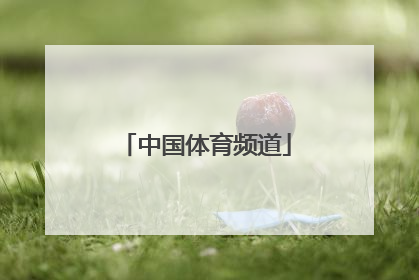 「中国体育频道」体育频道直播cctv5