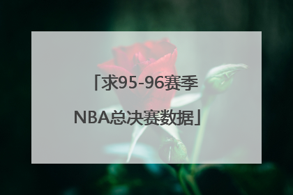 求95-96赛季NBA总决赛数据