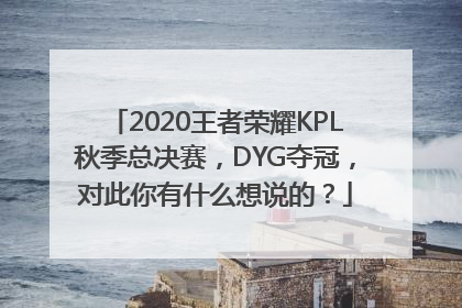 2020王者荣耀KPL秋季总决赛，DYG夺冠，对此你有什么想说的？