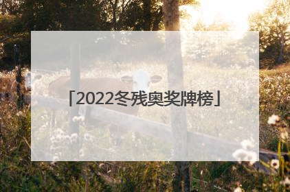 「2022冬残奥奖牌榜」北京冬奥会奖牌图片