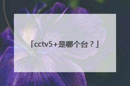 cctv5+是哪个台？